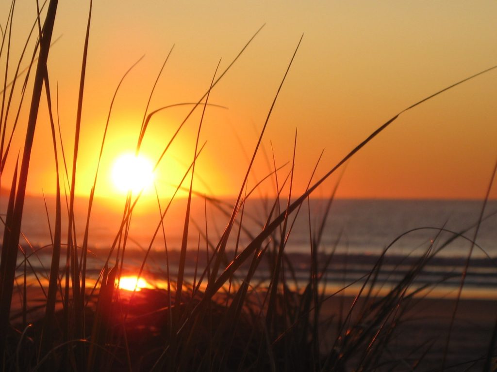 Beach grass, ocean